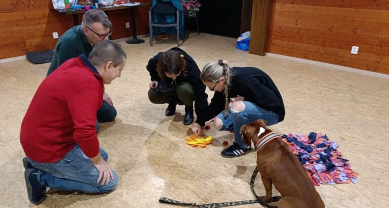 Canisterapie - příprava hlavolamu