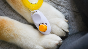 Klikr na psích tlapkách