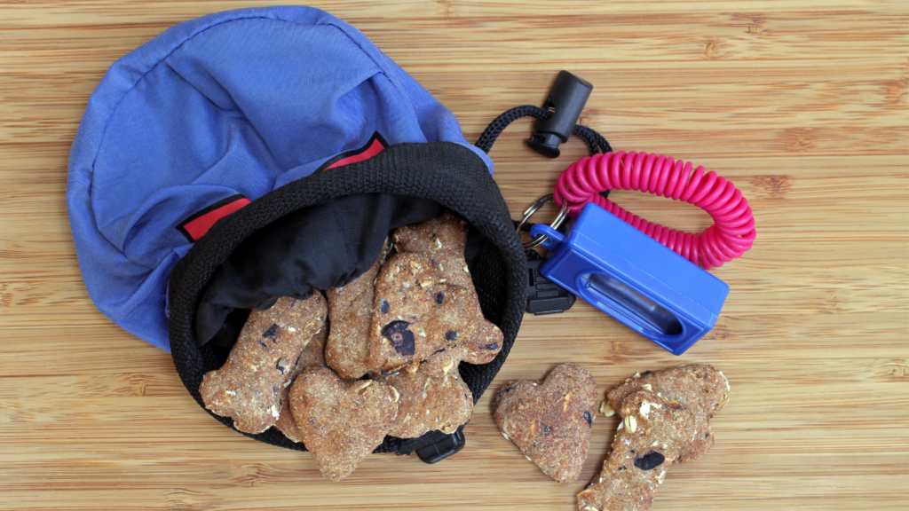 Pamlskovník a klikr