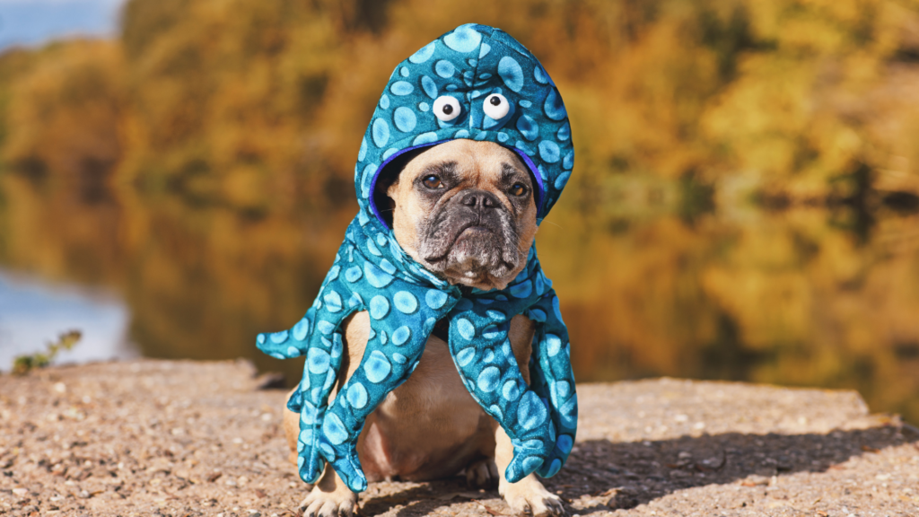 Pes v převleku za chobotnici