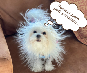 Pomoc - jsem pod proudem