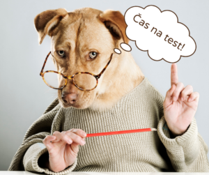 Je čas na test