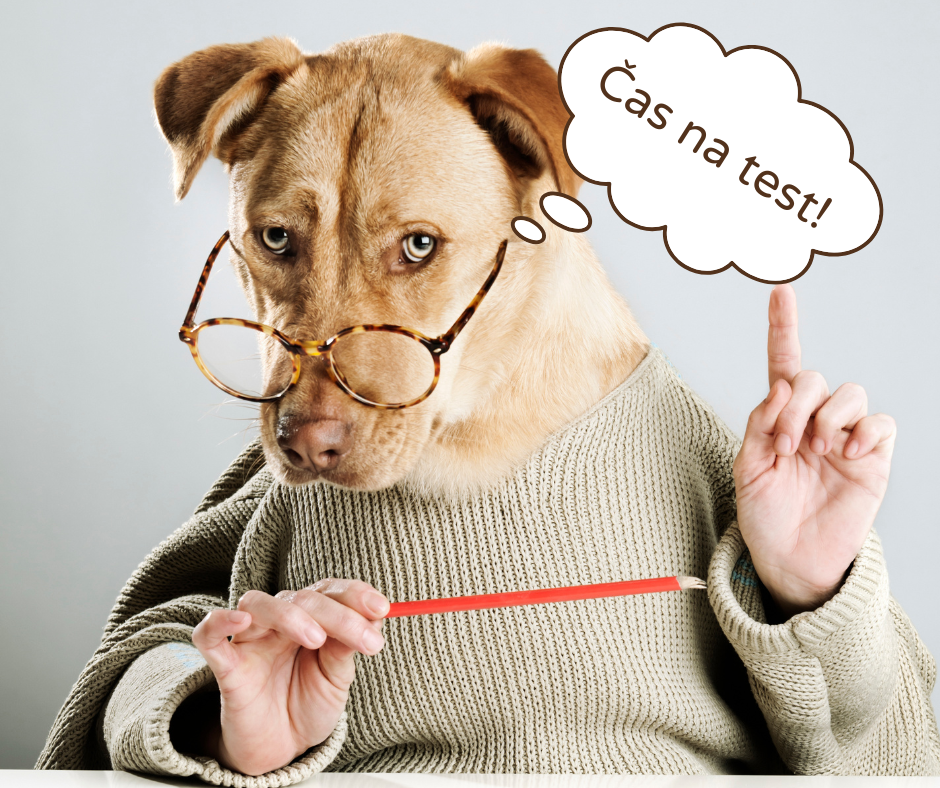 Je čas na test