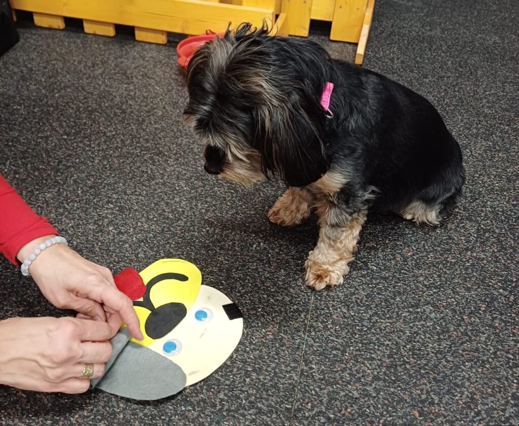 Canisterapie - hlavička psa