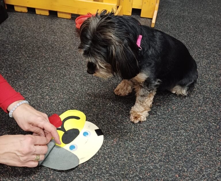 Canisterapie - hlavička psa