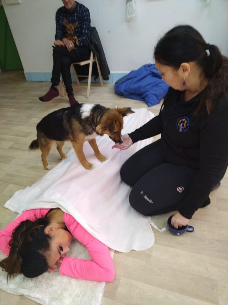 Canisterapie - masáž psem