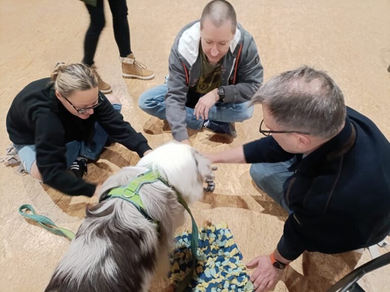 Canisterapie - práce se skupinou